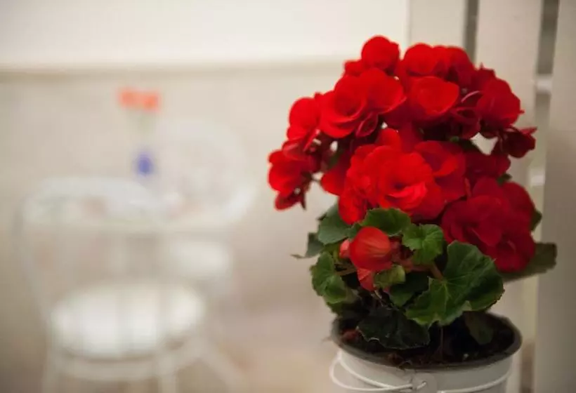 B&b Vittorio Emanuele Ii