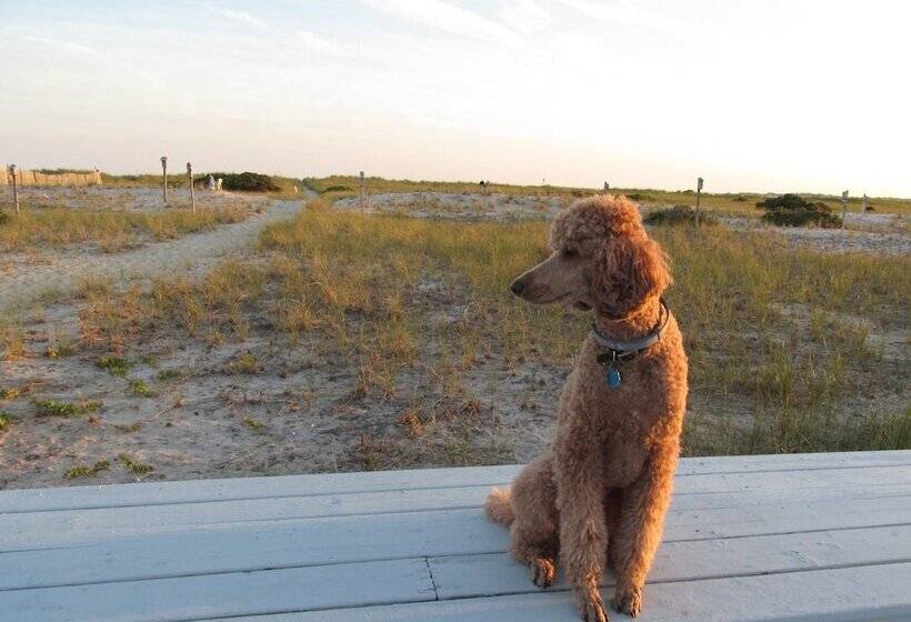 East Harbour Motel And Cottages