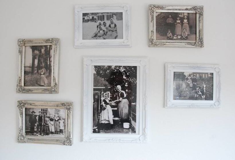 膳宿费 Duinlust Dishoek