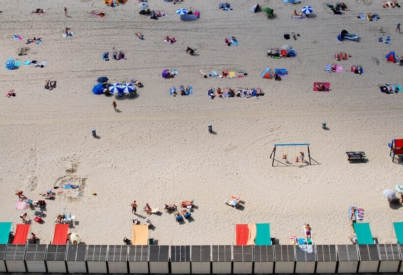 膳宿费 Duinlust Dishoek