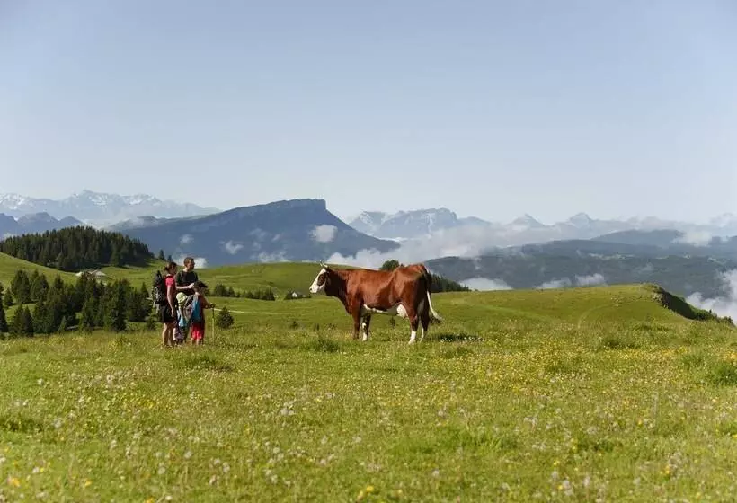 Hotelli Eco Bivouac Village D Igloo   Campground