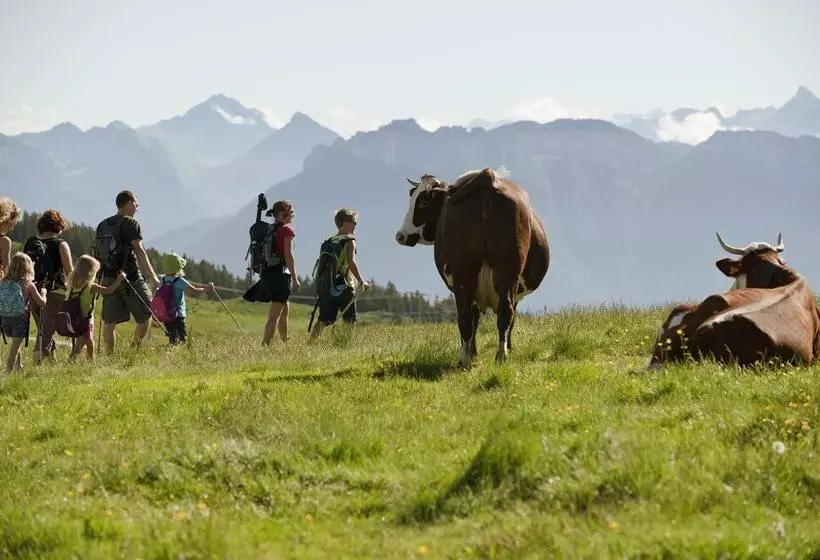 Hotelli Eco Bivouac Village D Igloo   Campground