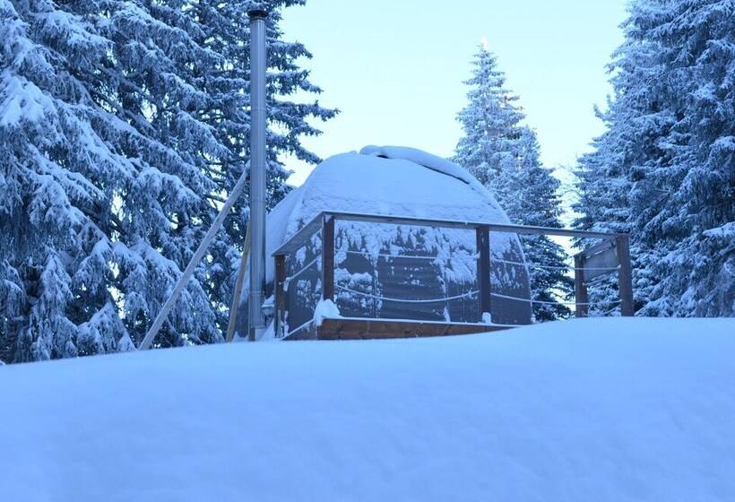 호텔 Eco Bivouac Village D Igloo   Campground