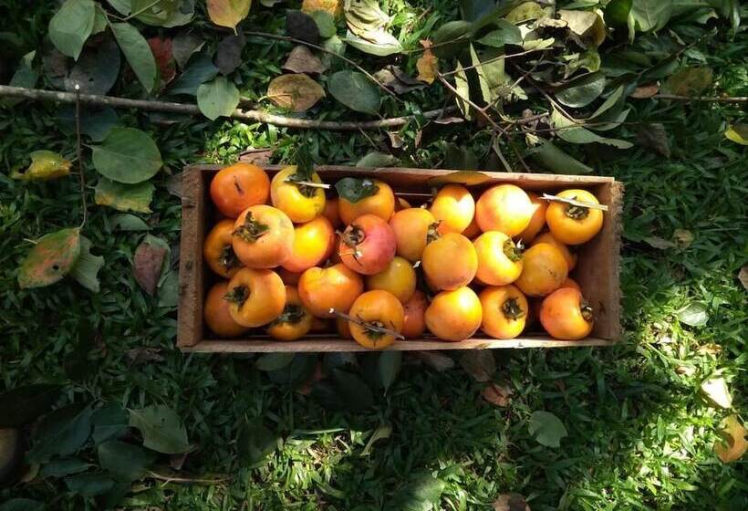Hotel Pousada Serra Da Mantiqueira