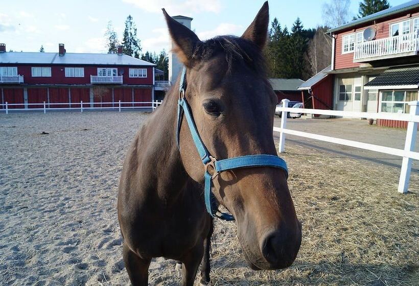 פנסיון Eco Farmhouse
