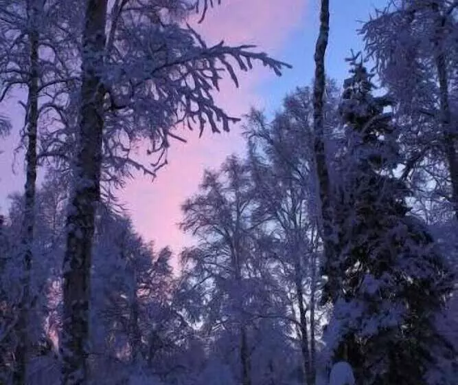 ペンション Meandering Moose Lodging