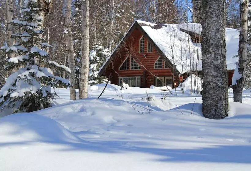 ペンション Meandering Moose Lodging