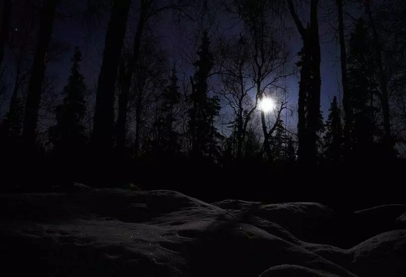 Talkeetna Chalet
