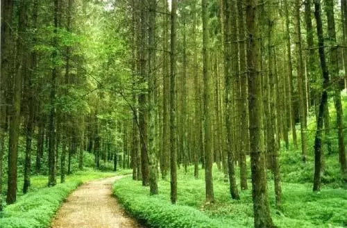 Abendruhe Hotel Kontaktloser Check In