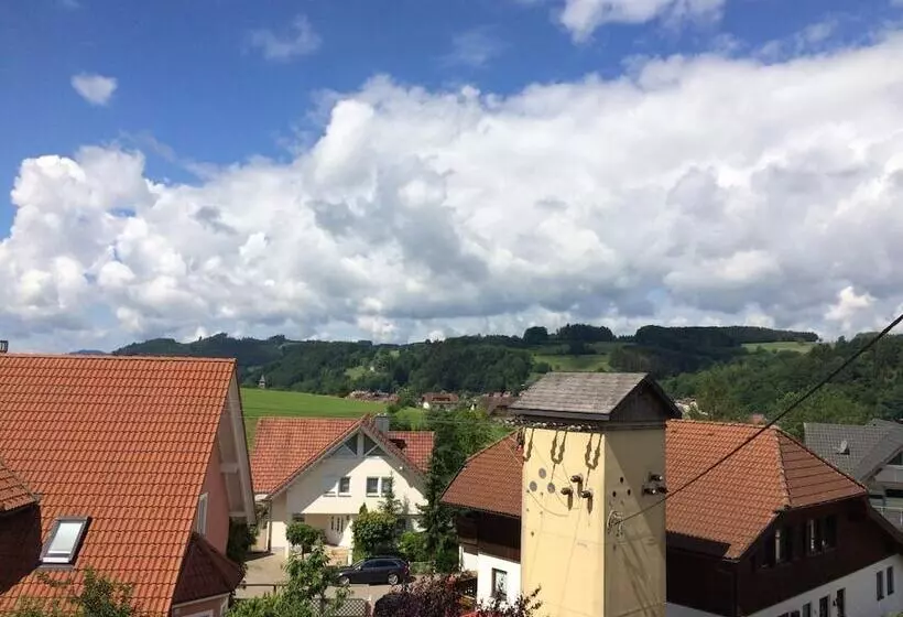 مبيت وإفطار Gasthof Richebächli