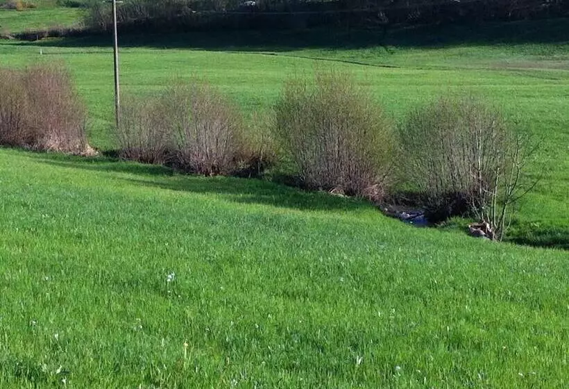 مبيت وإفطار Gasthof Richebächli