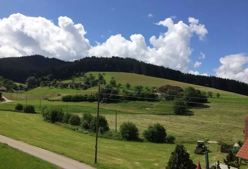 مبيت وإفطار Gasthof Richebächli