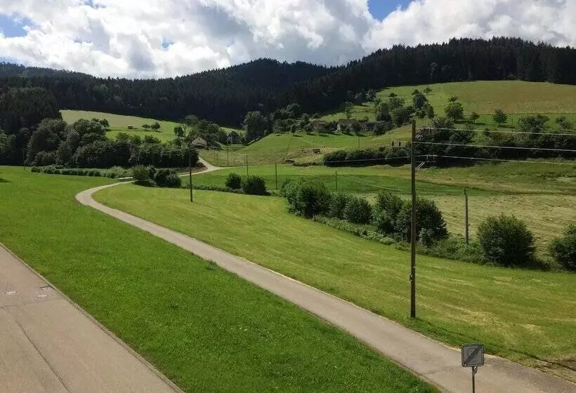 مبيت وإفطار Gasthof Richebächli