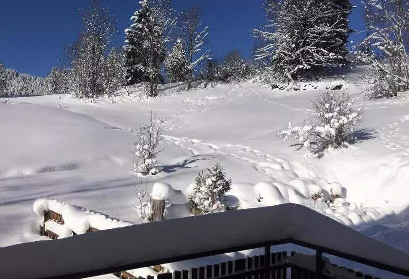 مبيت وإفطار Schwarzwald Hotel Kraeutle