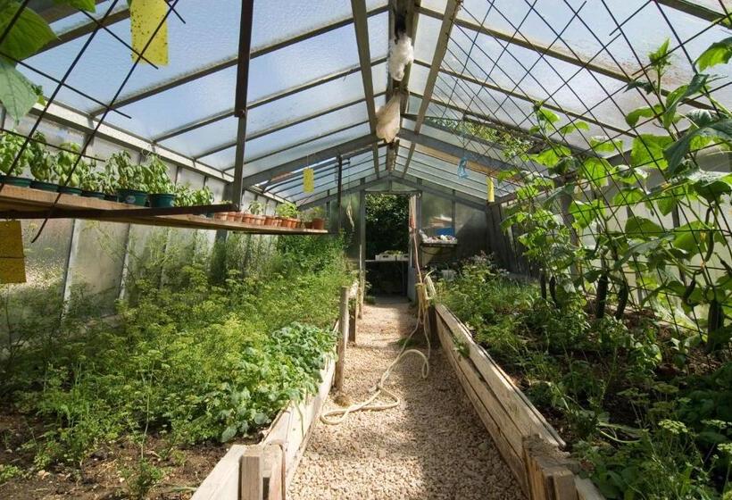 Biohotel Restaurant Rose