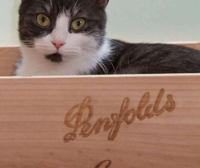 Höger S Hotel & Restaurant