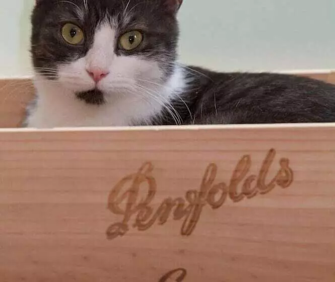 Höger S Hotel & Restaurant