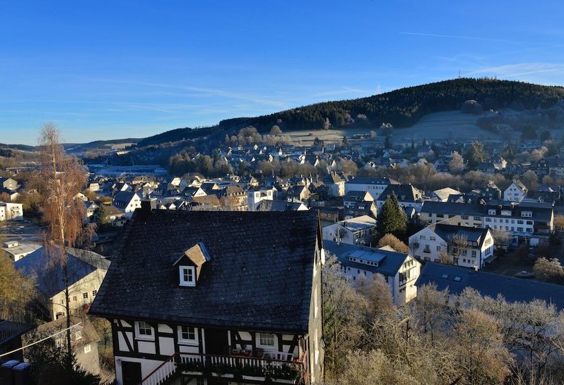 فندق Alte Schule