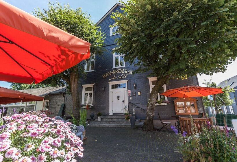 فندق Alte Schule