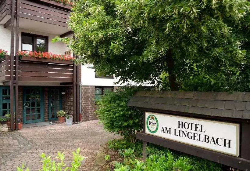 בית מלון כפרי Am Lingelbach