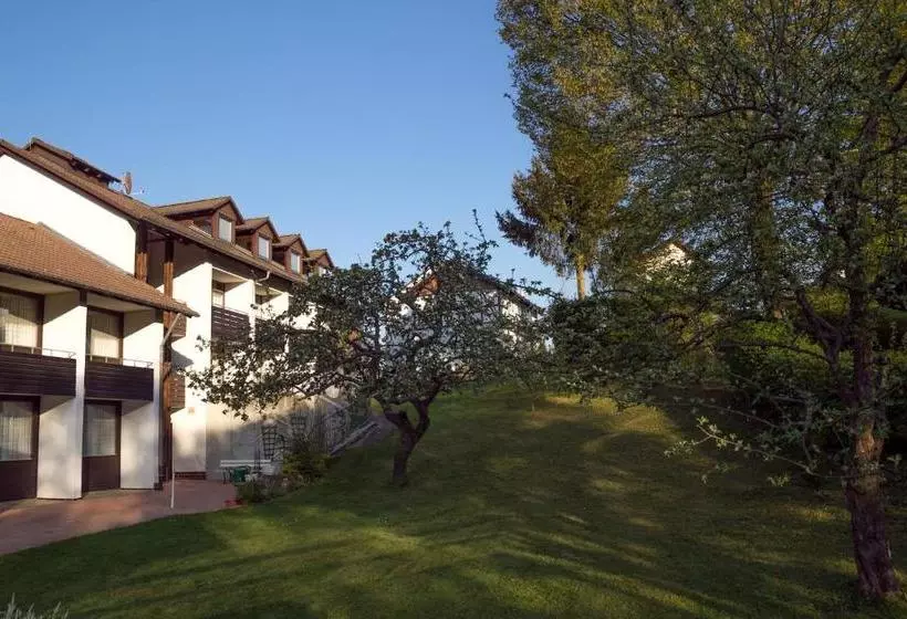 בית מלון כפרי Am Lingelbach