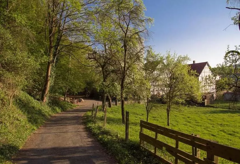 בית מלון כפרי Am Lingelbach