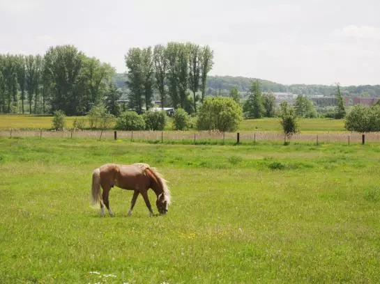 膳宿费 Auenhof Landgasthaus