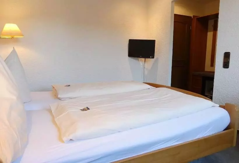 Отель Burg Breuberg