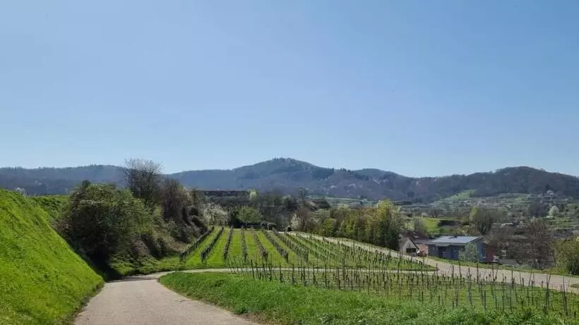 בית מלון כפרי Engel