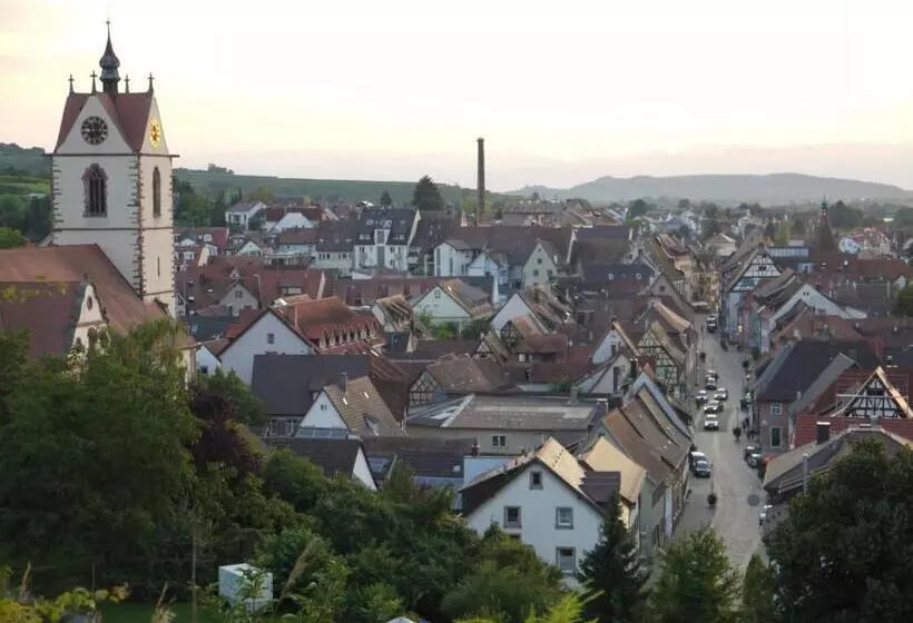 בית מלון כפרי Engel