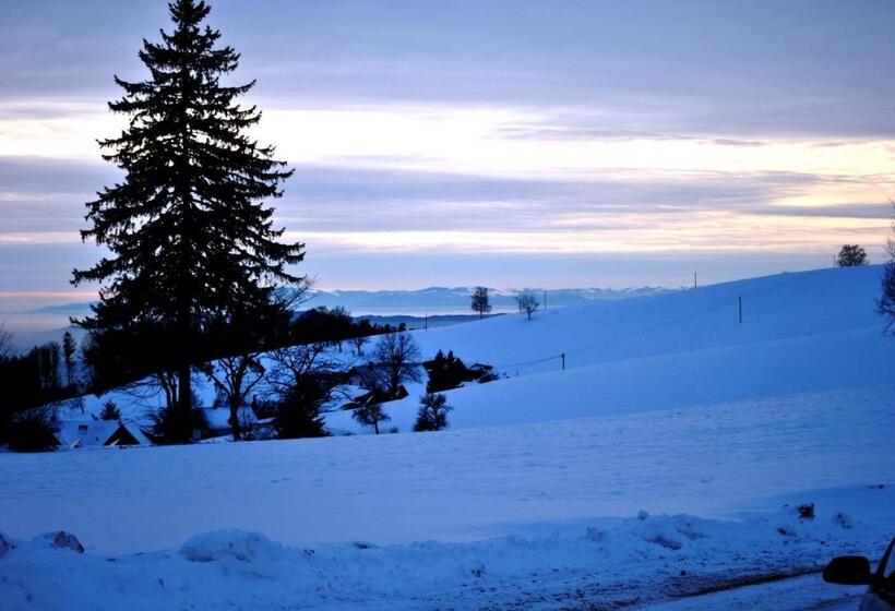 Отель Freiämter Hof