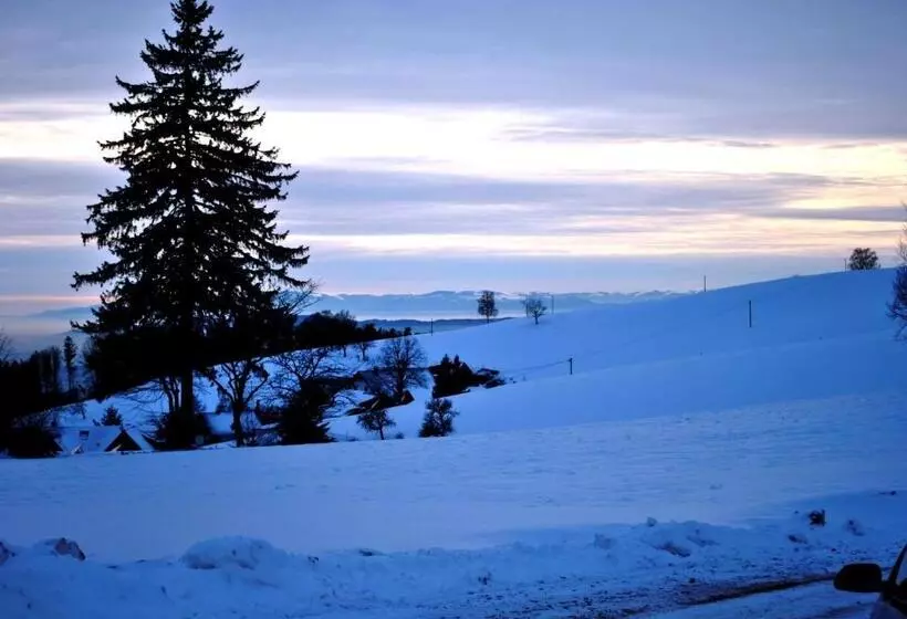 فندق Freiämter Hof