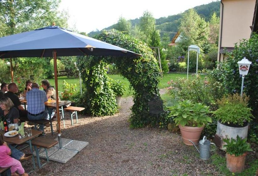 Отель Freiämter Hof