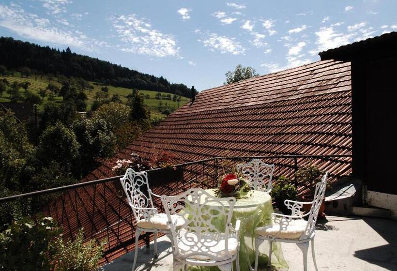 Отель Freiämter Hof