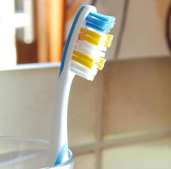 فندق Freiämter Hof