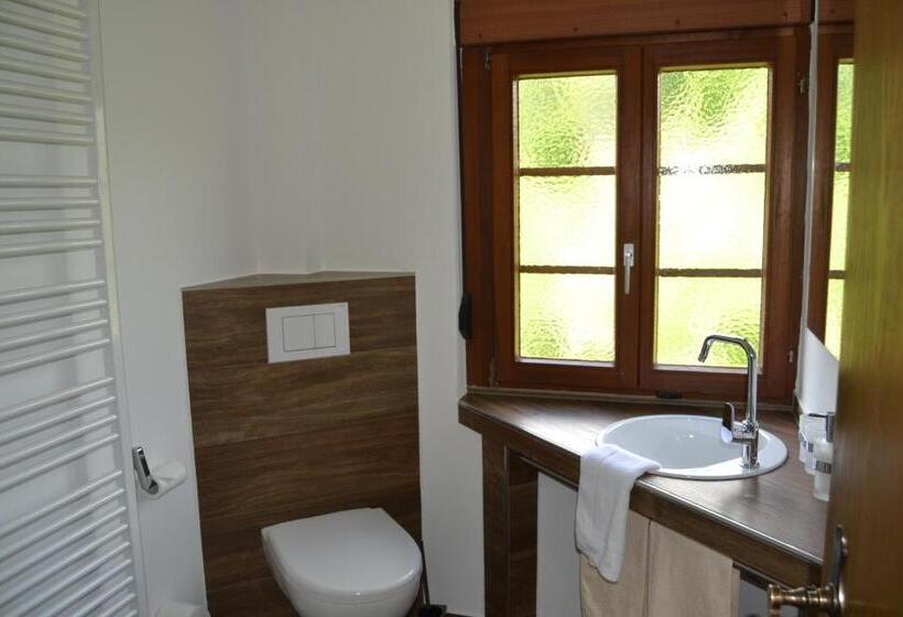 Отель Freiämter Hof