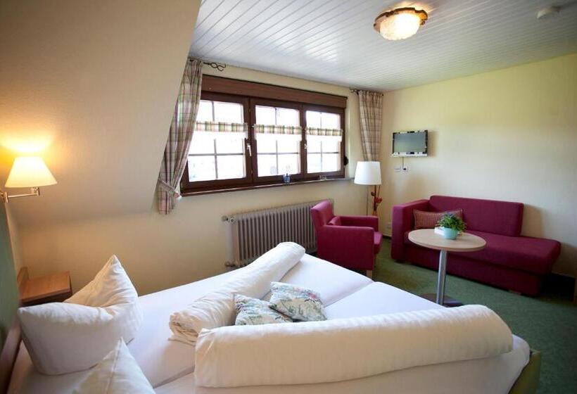 Отель Freiämter Hof