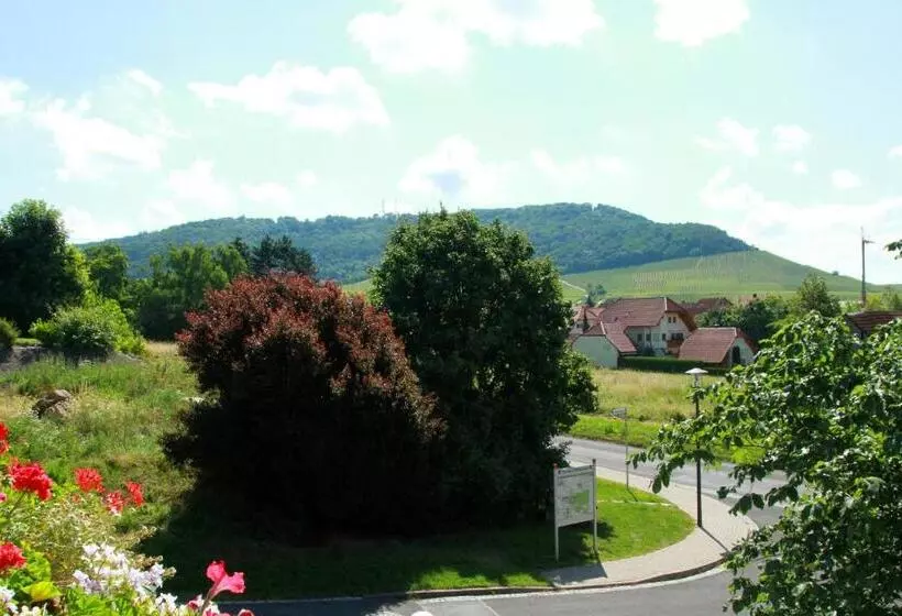 Hotel & Gasthof Zum Rödelseer Schwan