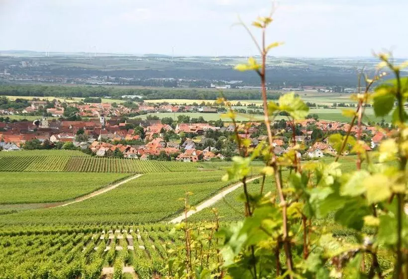 Hotel & Gasthof Zum Rödelseer Schwan