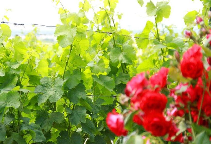 호텔 & Gasthof Zum Rödelseer Schwan