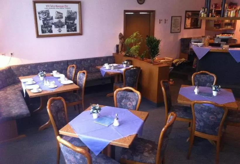 酒店 Kelkheimer Hof