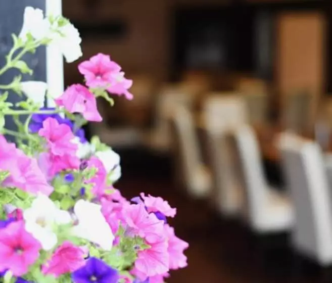 Отель Marktkieker