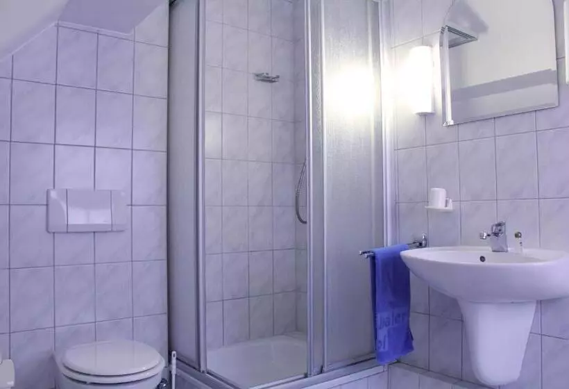 Отель Offenthaler Hof