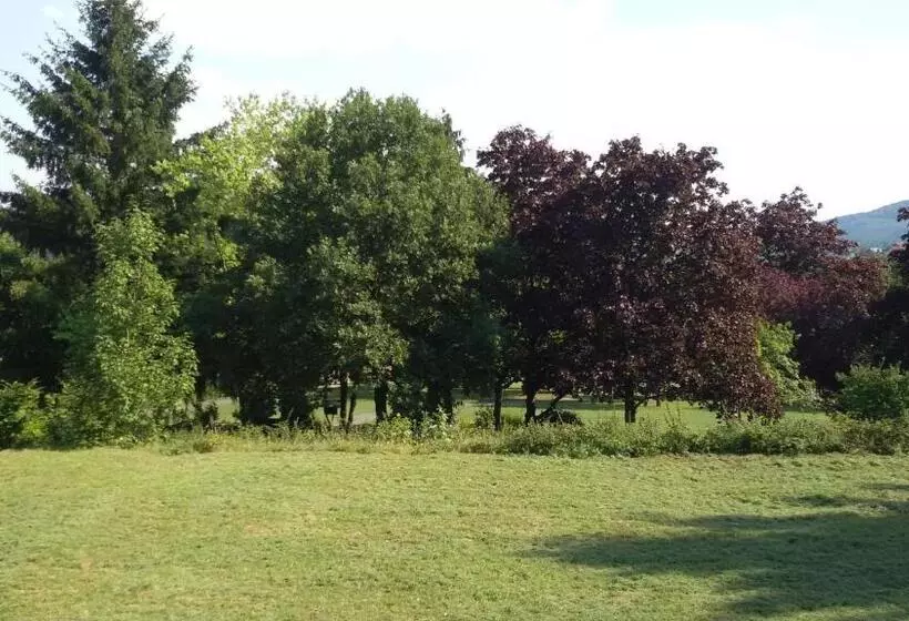 酒店 Schlossgarten