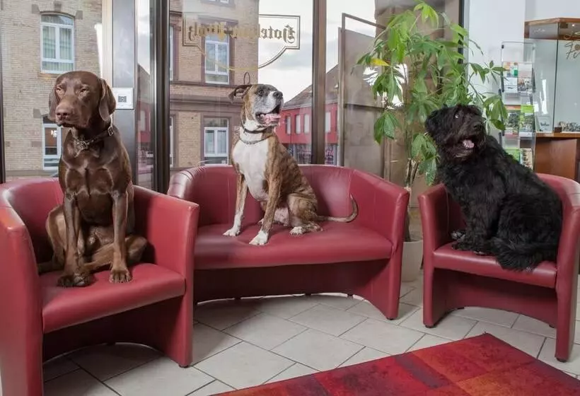 בית מלון כפרי Zur Pfalz