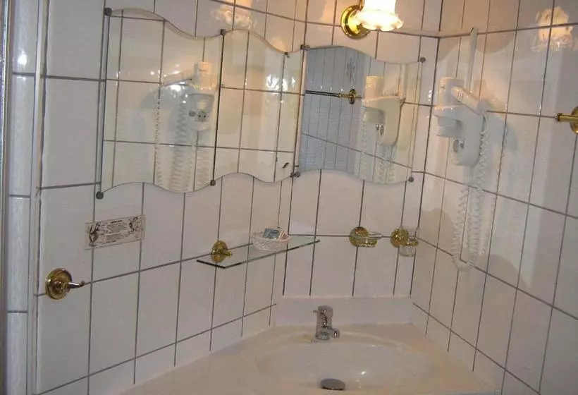 膳宿费 Gasthaus Laubacher Wald