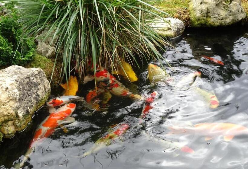 Pensão Gästehaus Biedermann