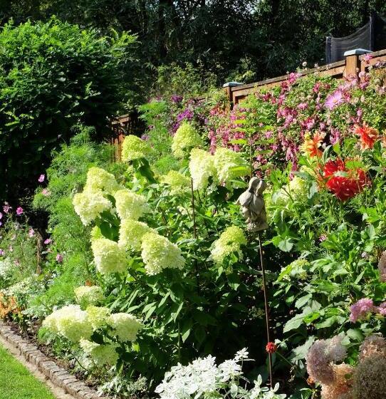 Pensão Gästehaus Biedermann