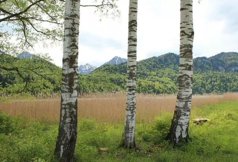 Отель Birkenhof Pension Mit Herz