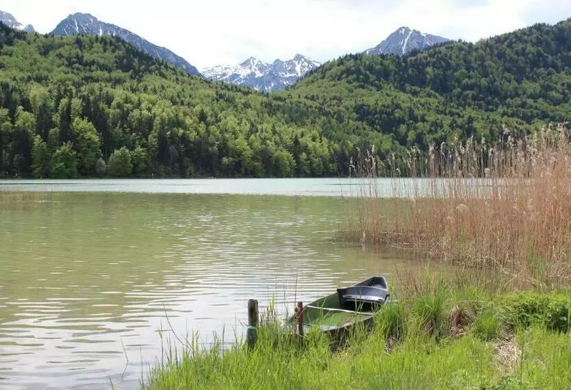 Отель Birkenhof Pension Mit Herz
